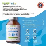 Biowen Kolagen Morski 3x peptydy proszek 225 g