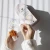 BasicLab Esteticus Antyoksydacyjne serum wzmacniające 1% ergotioneiny, 10% kompleksu, 30 ml
